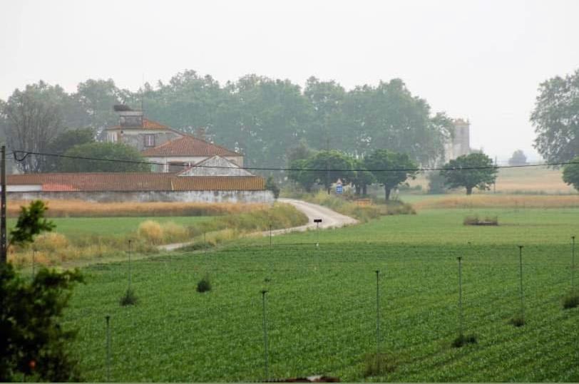 Casa De Azzancha Pension Azinhaga Buitenkant foto