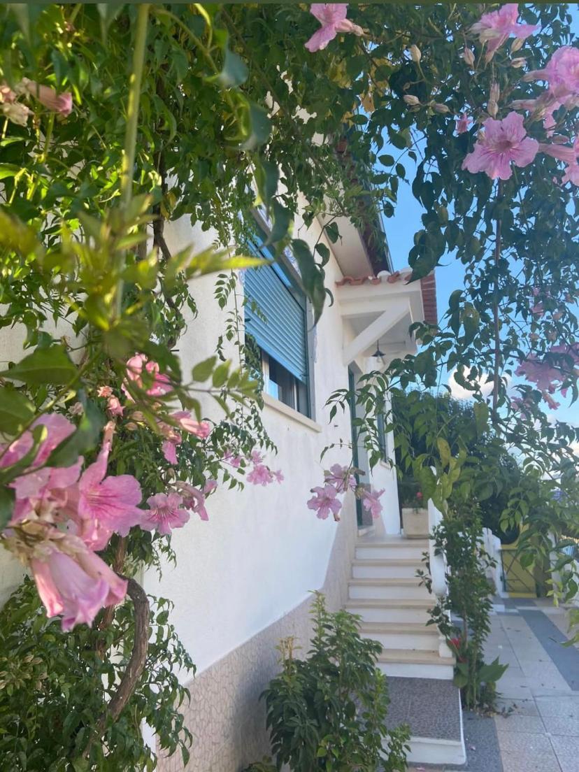 Casa De Azzancha Pension Azinhaga Buitenkant foto